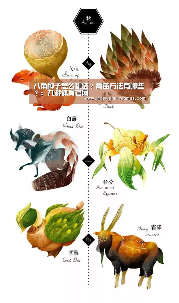 九游官网入口地址