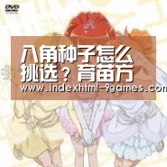 八角种子怎么挑选？育苗方法有哪些？：九游体育官网(图2)