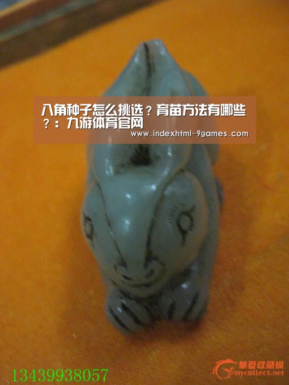 八角种子怎么挑选？育苗方法有哪些？：九游体育官网