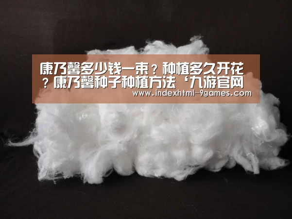 康乃馨多少钱一束？种植多久开花？康乃馨种子种植方法‘九游官网入口地址’